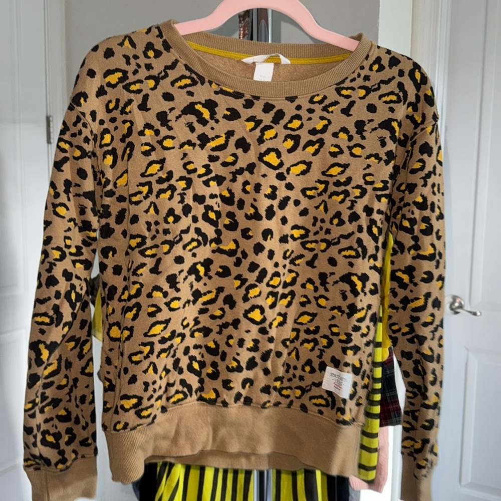 H&M Cheetah print pullover sweater